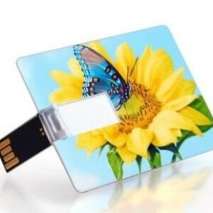 Usb Flash Card in Abs