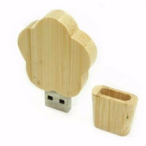 Usb Flash in Legno