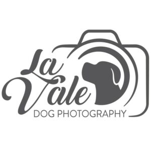 La Vale Dog Photography