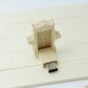 Usb in Legno RT-U544