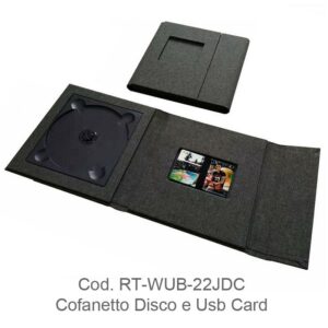 Cofanetto Disco Usb Card